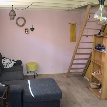 Small, Cute And Cozy Little Holiday Home Hippolytushoef Eksteriør billede